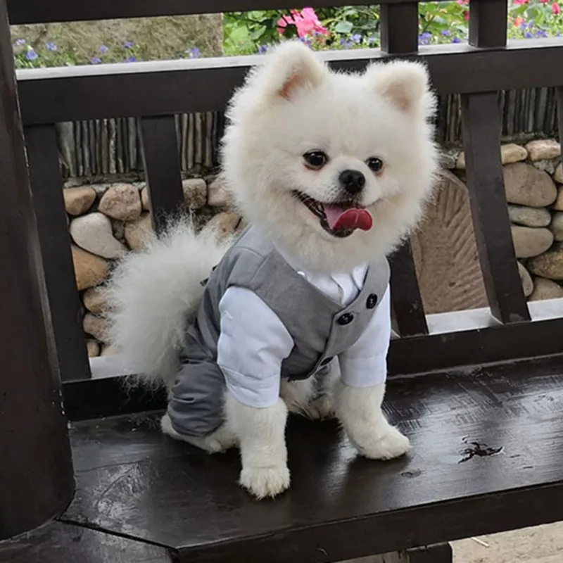 Noble pet dog coat best sale