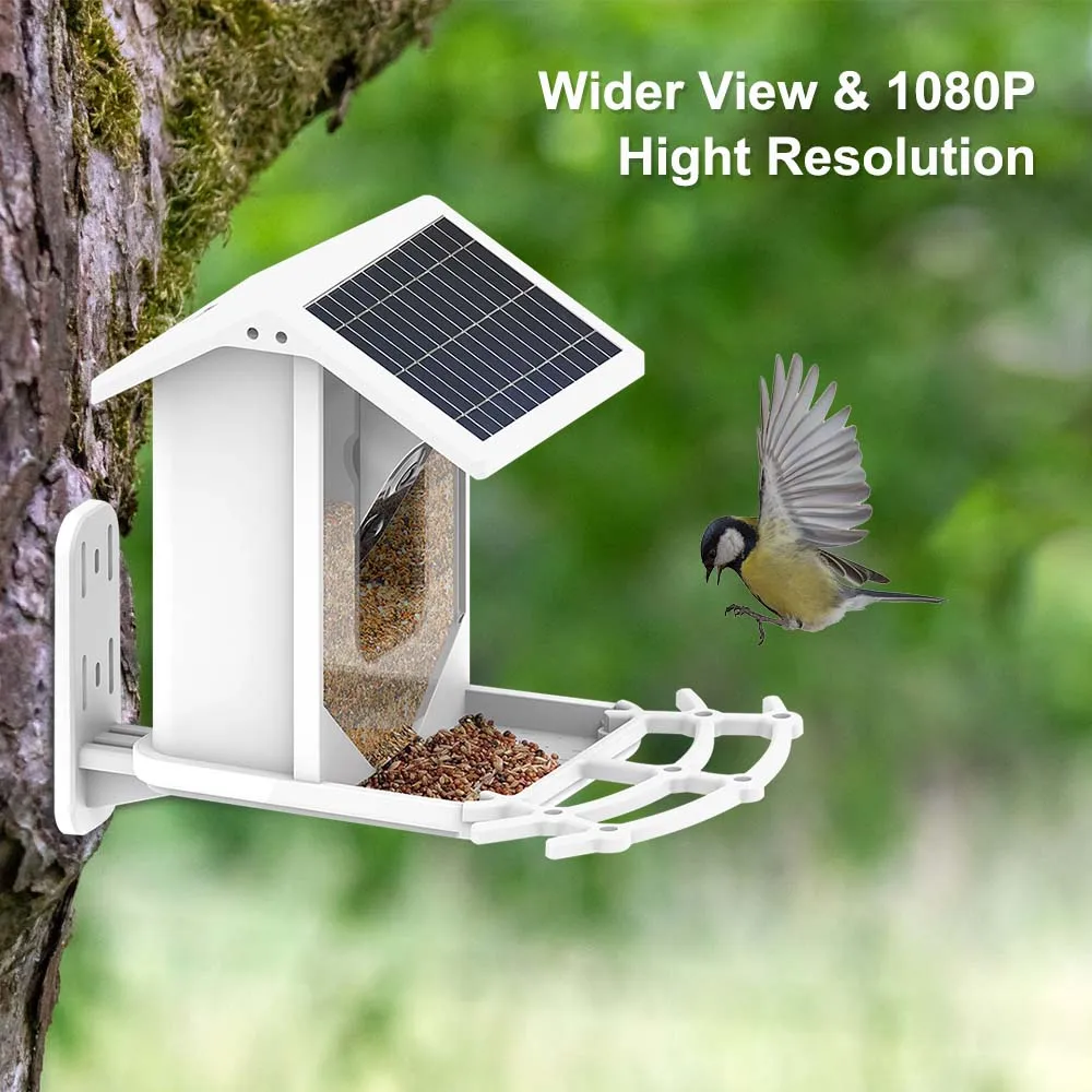 Intelligent Bird Feeder Camera 1080P Outdoor Wireless WIFI Solar AI Bird Identification IP Cam Two-Way Audio Night Vision Alexa