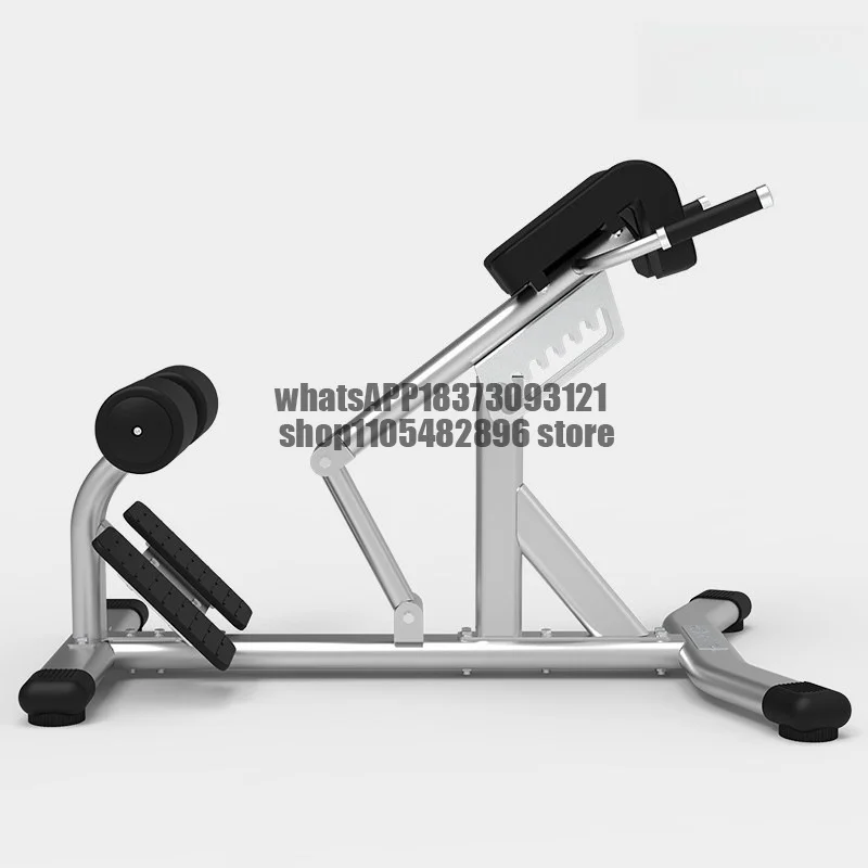 Multifunctional Waist Twist Machine Buttocks Fitness Psoas Abs Trainer Roman Stool