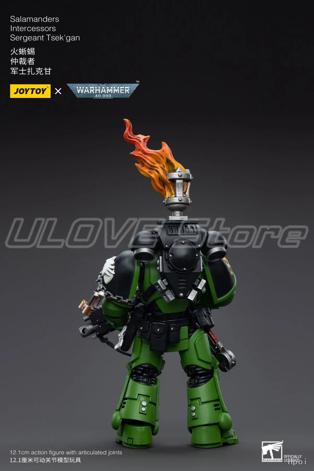 متوفر في المخزون الأصلي JOYTOY Warhammer 40K SalamandersIntercessorsSergeant Tsek'gan 1/18 عمل نموذج لجسم دمى هدايا #3