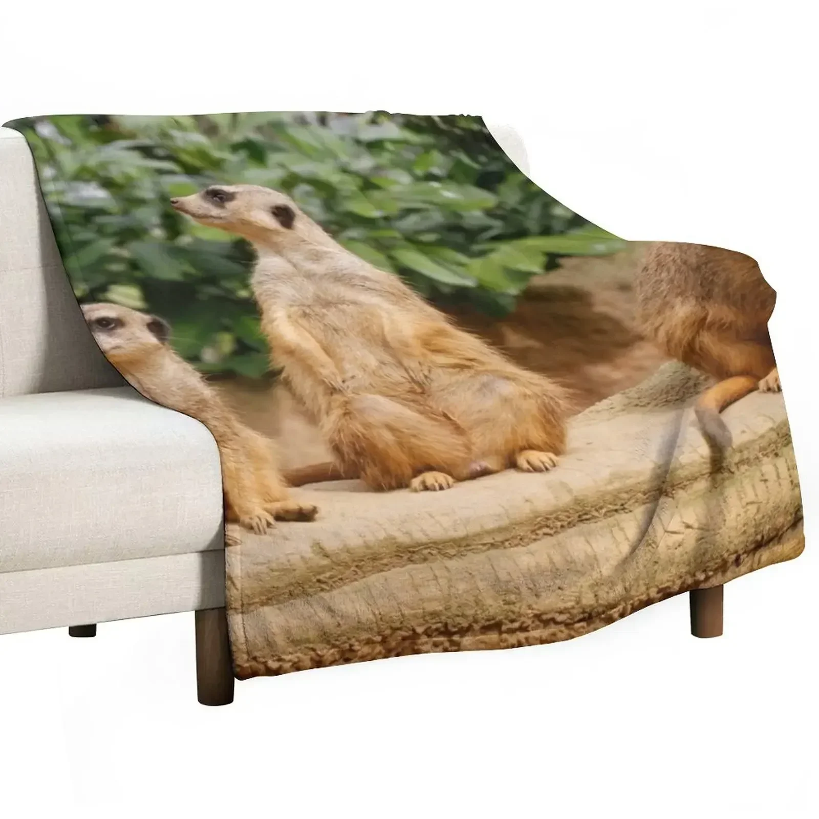 Meerkat 008 Throw Blanket Sofas Soft Plaid Blankets