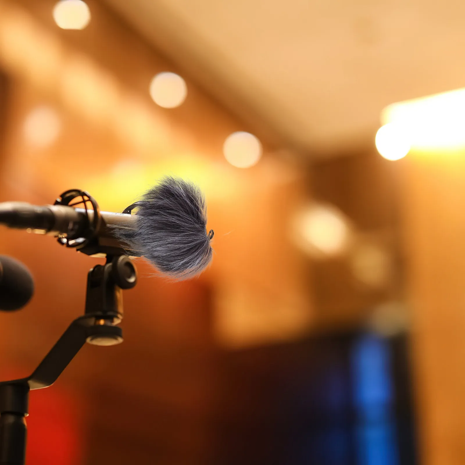 2Pcs Professional M…