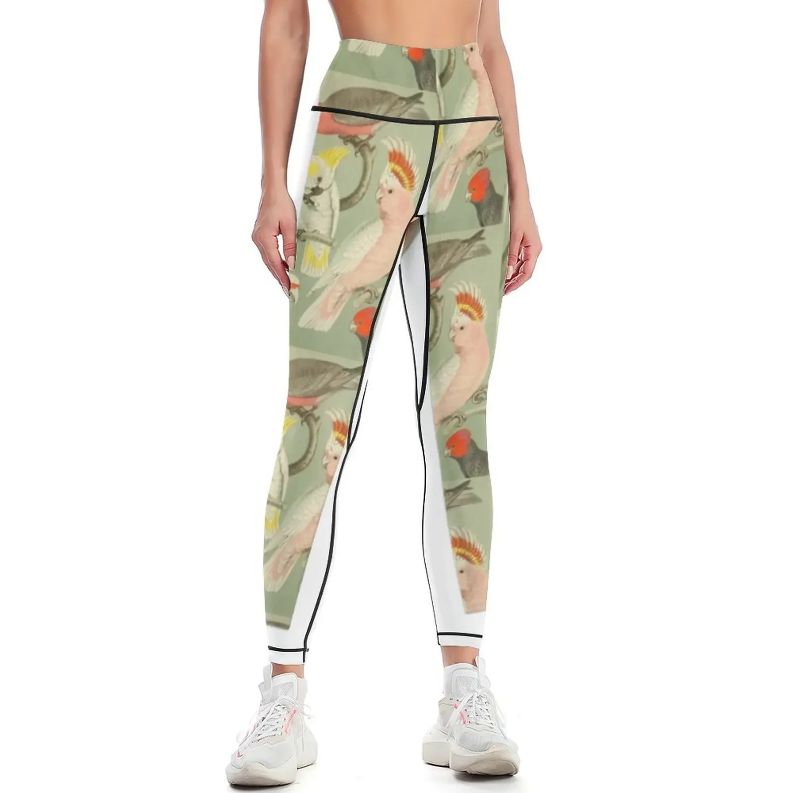 

Cockatoo Leggings Legging sexy woman gym clothing fitness set gym Female legging pants Womens Leggings