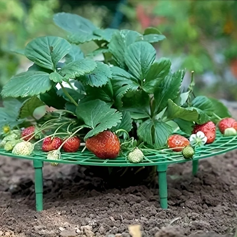 

‌ 5 Pack Strawberry Plant Stand - 4-Legged Growing Rack to Keep Berries Clean, Sturdy Support Frame for Garden/Potted Plants