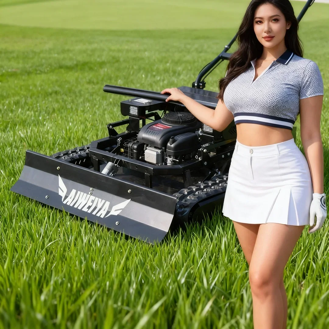 

Customized 2 in 1 Mowing Snow Shoveling CE/EPA Certified Lawn Mower Core Engine Motor One-On-One Beauty Sales