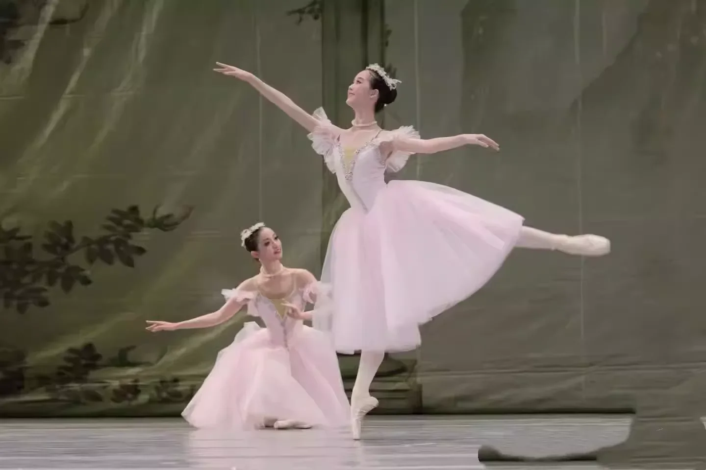 Professional Ballet…