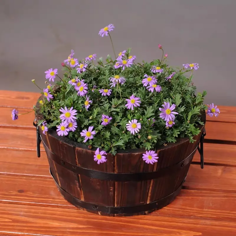 Wooden bucket, Small flowerpot, Carbonized and anti-corrosion natural wood, Orchid, Solid wood potted plant
