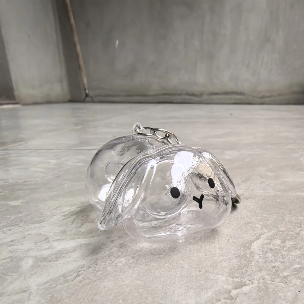 Transparent Pet Hair Storage Keychain Hair Container Keyrings Memorial Rabbit Hair Collector Organizer Pendant Bag Charm