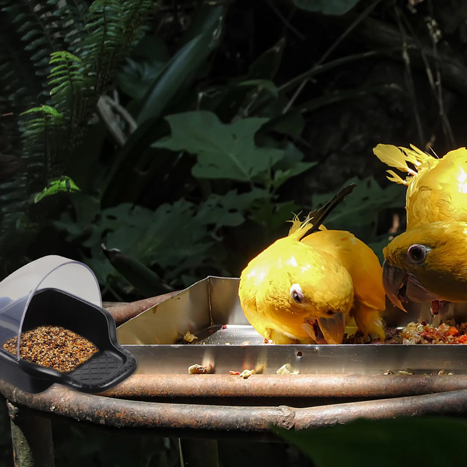 

Parrot Feeder Box Plastic Hanging Bird Food Container Reusable Weather Resistant For Budgie Parakeet Cockatiel Pet Feeding