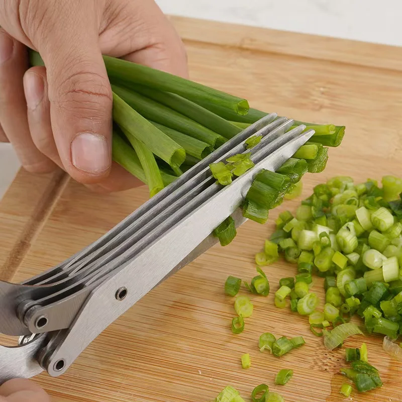 Premium Stainless Steel Multi-Blade Herb Shears for Chopping Scallions Cilantro Dill Parsley and Seaweed Sheets with Ergonomic H