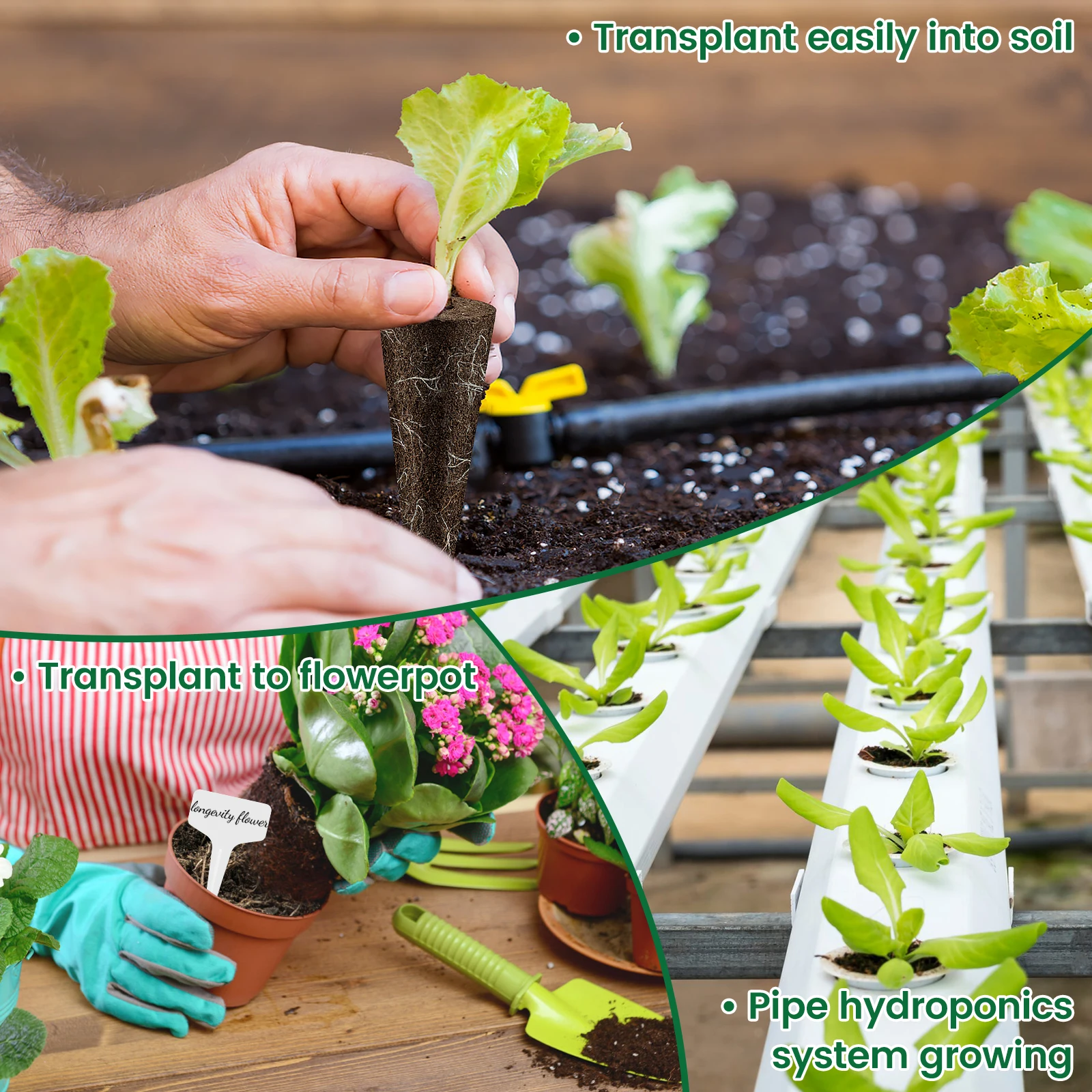 50/100 قطعة من إسفنجات النمو ل - مراجعة Plant Parent Kit وسعره