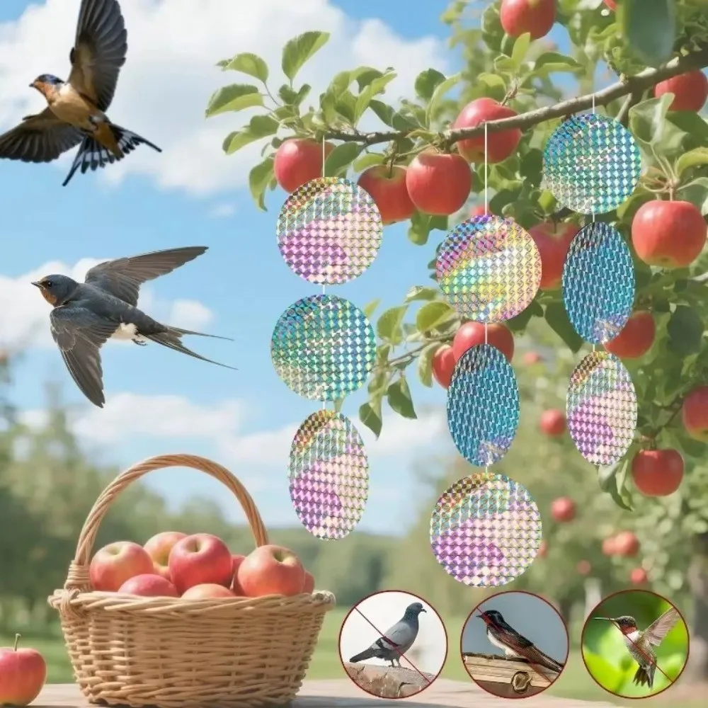 20pcs Garden Bird Control Bird Repellent Sticker Round Shape Laser Flash Reflective Sticker Reflective Bird Repellent Tape