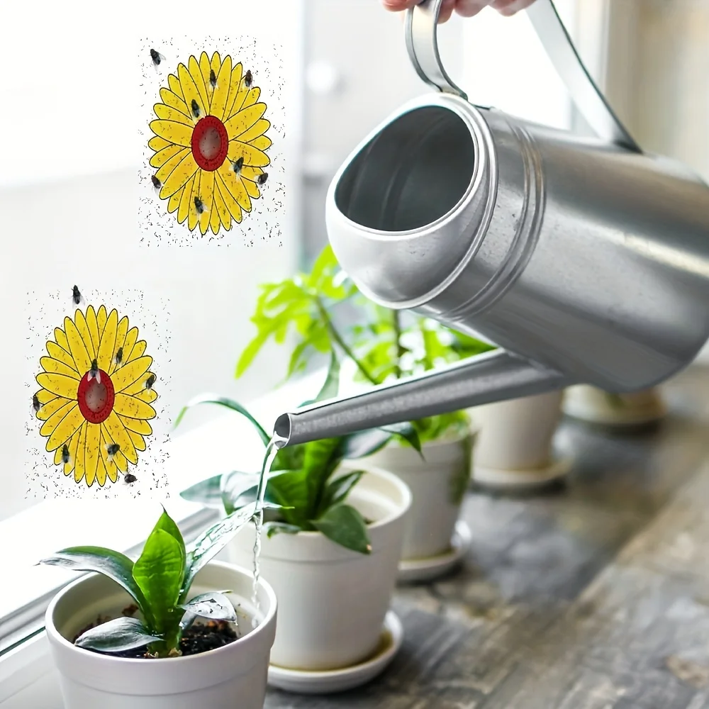 Sunflower patterned transparent window fly trap sheets in 6 packs. Odorless sticky design, safe household pest catcher
