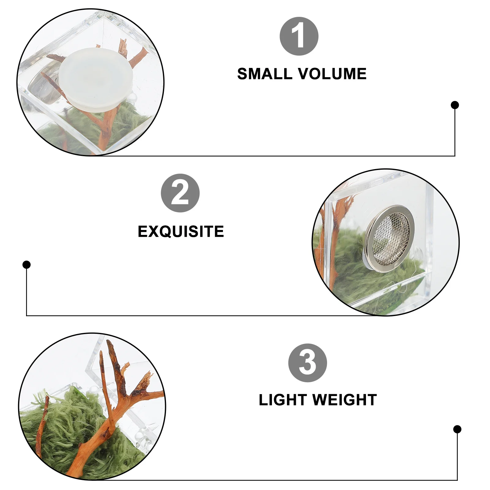 

Jumping Spider Clear Breeding Box Small Pet Cage Bright Lamp Spider Habitat Container For Spiders Ecological Carrier Micro