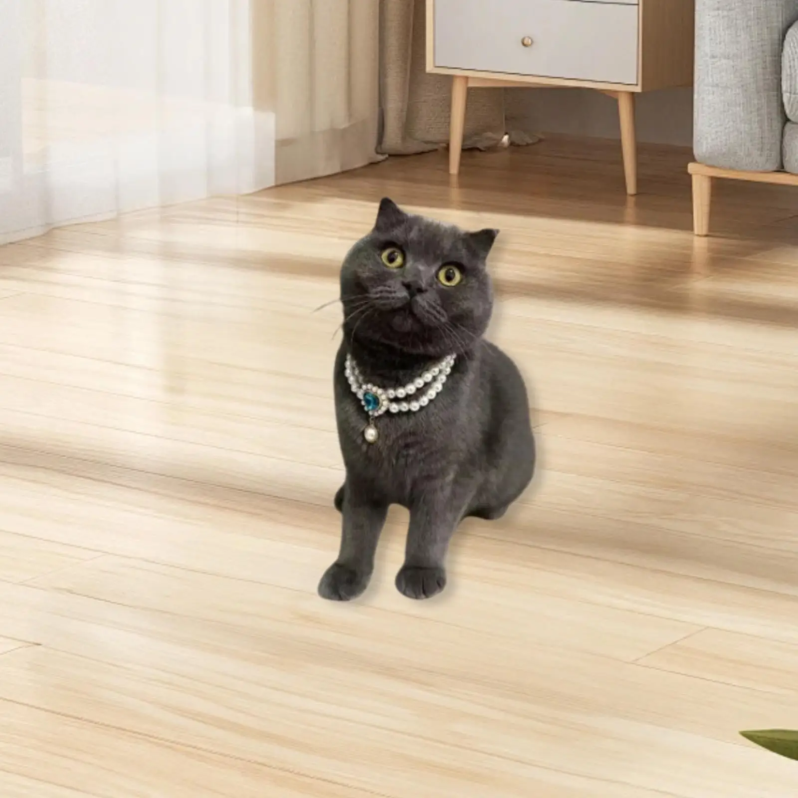 Pet Necklace Elegant Pearl Dog Collar Adjustable Comfortable Fit for Kitten Puppy Photos and Events