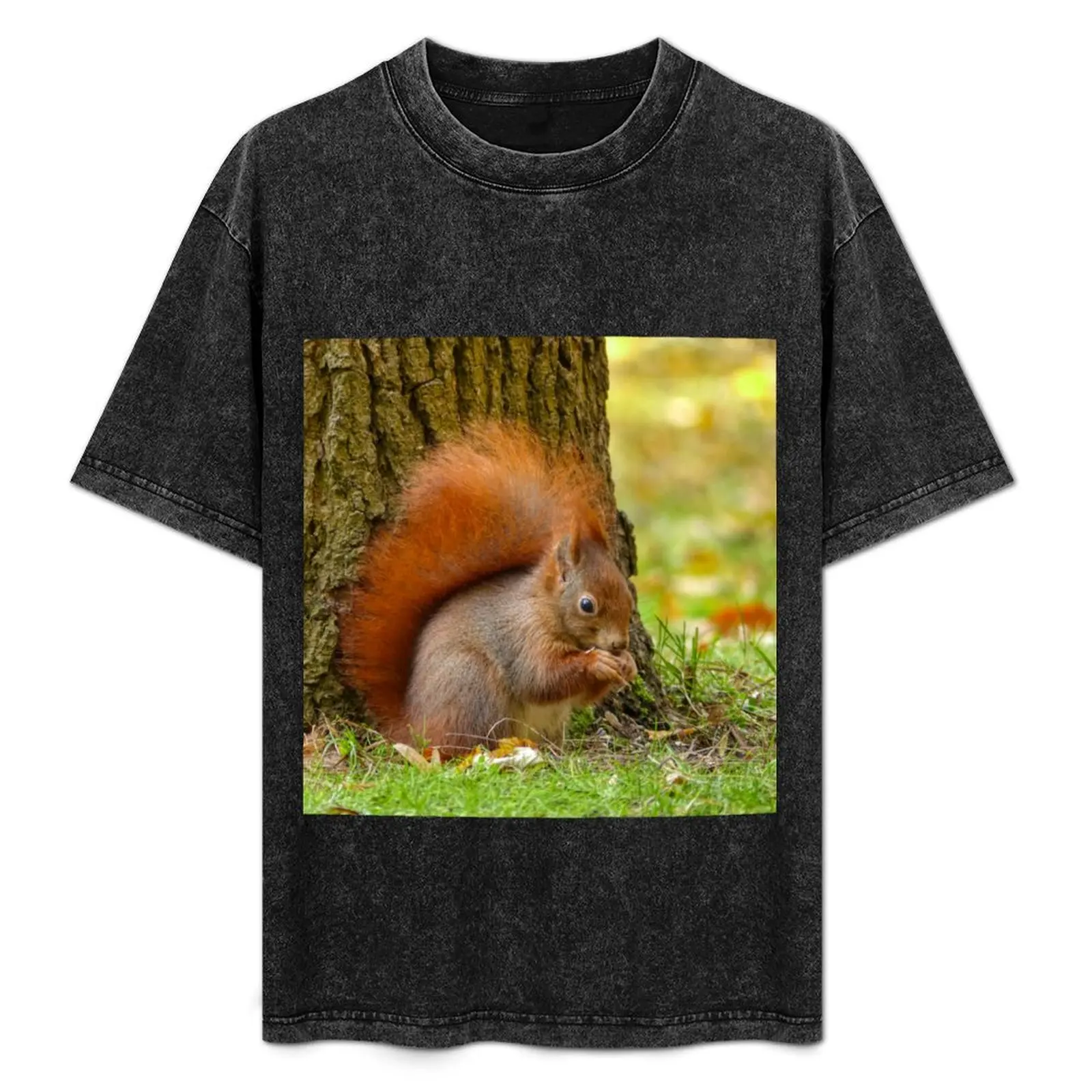 Little eurasian red squirrel T-Shirt Plus Size Short Sleeve T-Shirt
