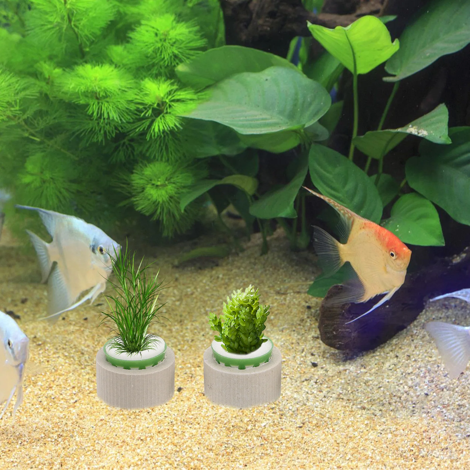 

9Pcs Waterweed Planting Cups Heavy Duty Ceramic Holders for Aquarium Tank Anti-Float Aquatic Garden Decoration Kit