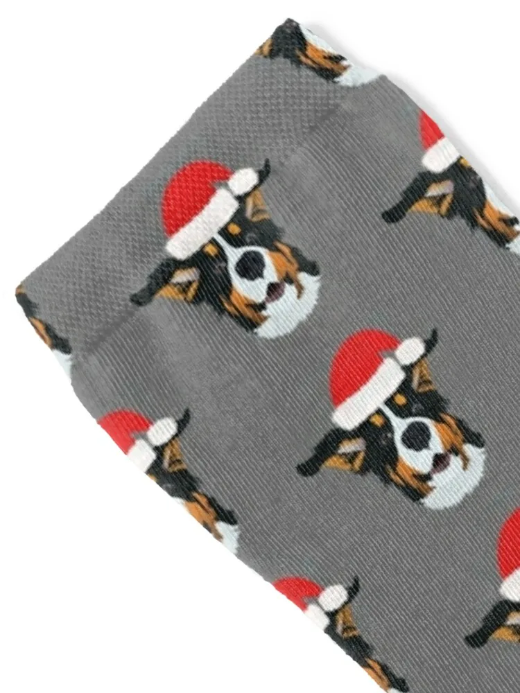 Christmas Bernese Mountain Dog Socks Socks cotton Lots Socks For Man Women's