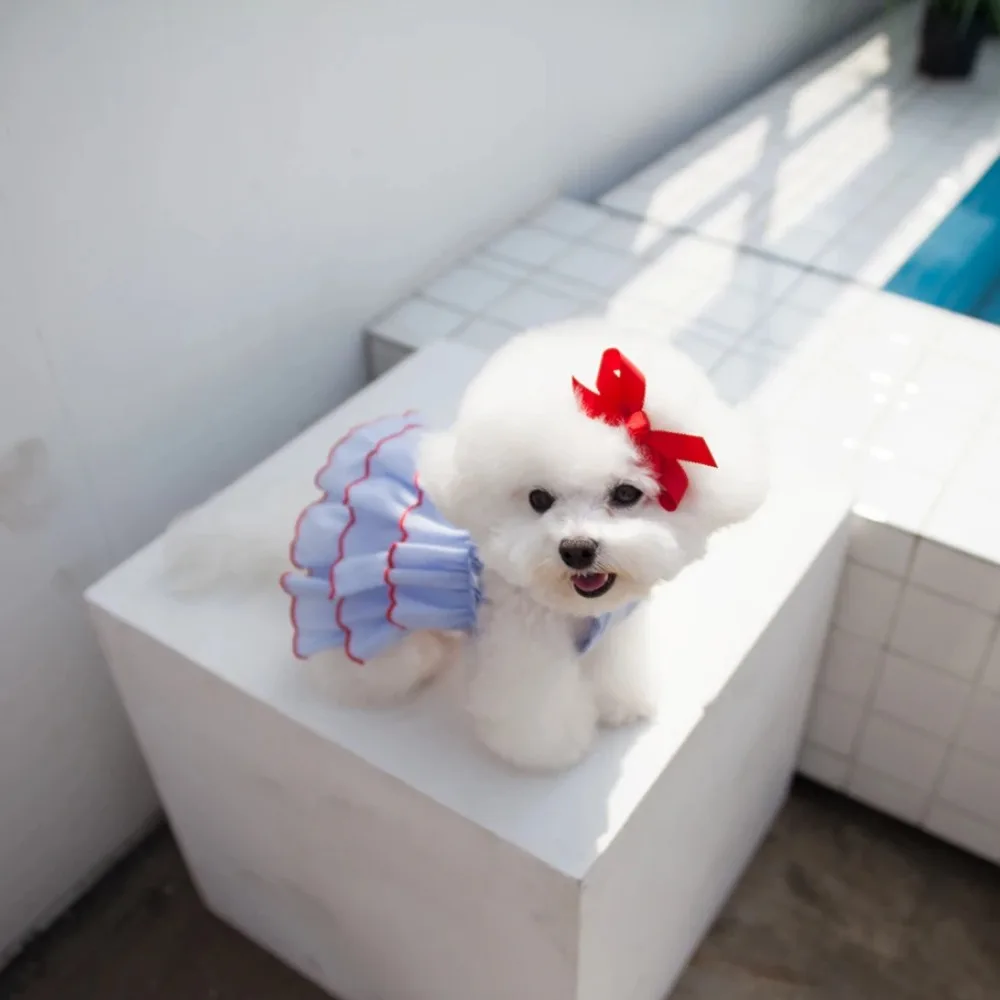 Dog Dress Luxury Puppy Skirt Dog Clothes Princess Dresses Wedding Evening Dress Dog Fancy Dress Puppy Summer Clothes Cat Costume