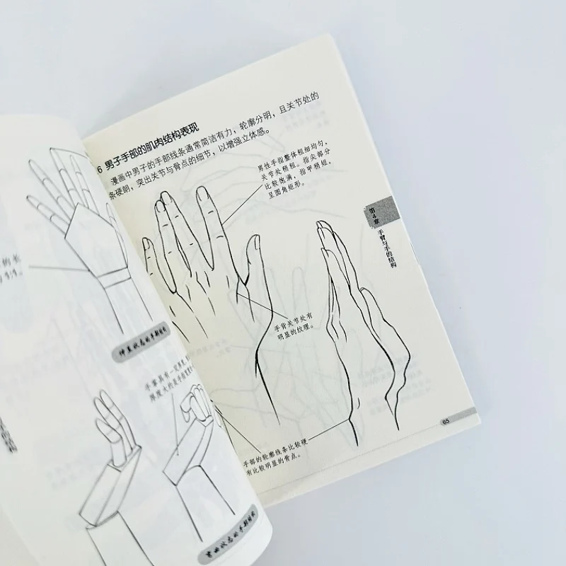 Beginner-Friendly Manga Tutorial Pocket Book: Step-by-Step Guide to Human Body Structure for Anime Drawing Techniques
