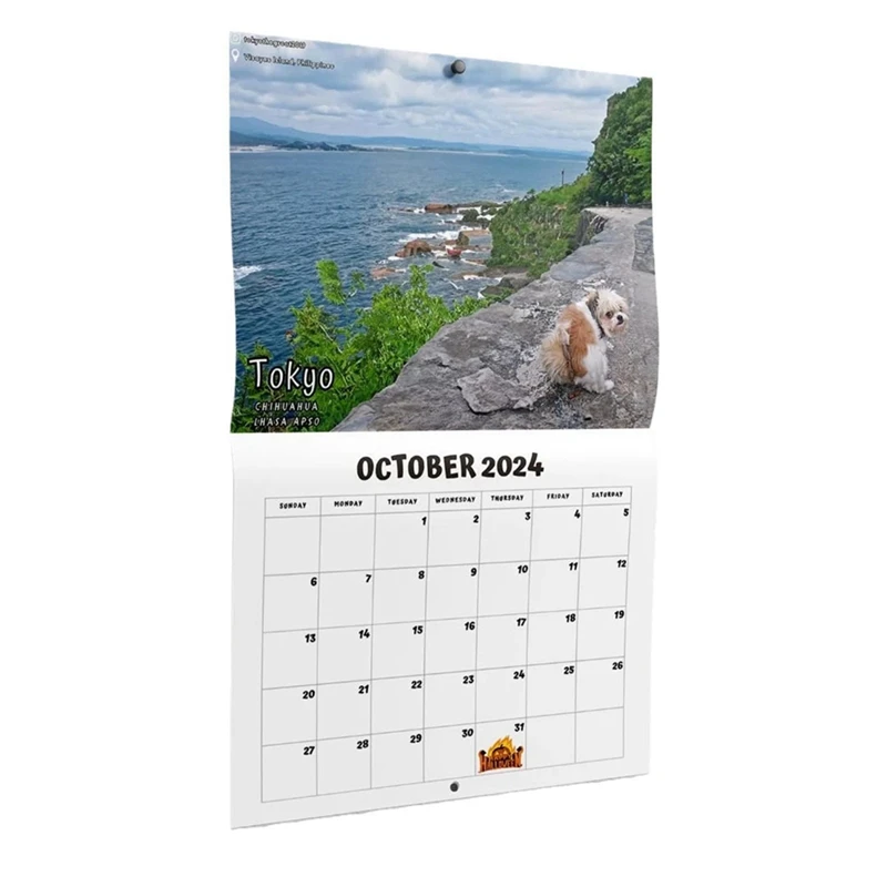 

HOT-Dog Pooping in Beautiful Places 2024 Calendar (Pre-Order) - Funny Wall Art Christmas Holiday Gag Gift Prank Item