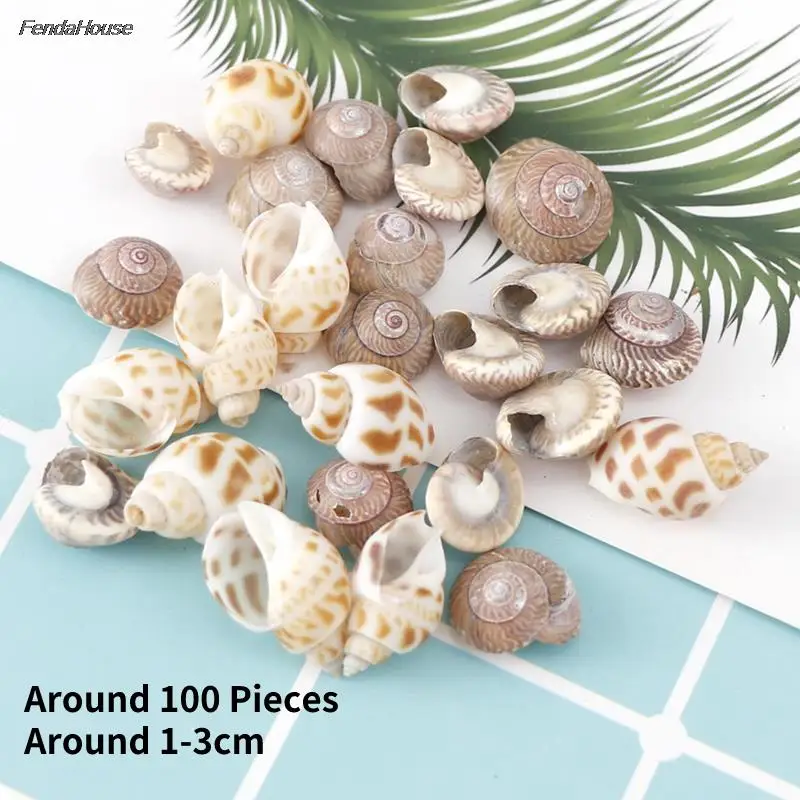 1-3cm 1 BOX Mix Style Natural Shell Natural Conch Shells Mini Conch Corn Screw Wall Decoration DIY Aquarium Landscape Seashells