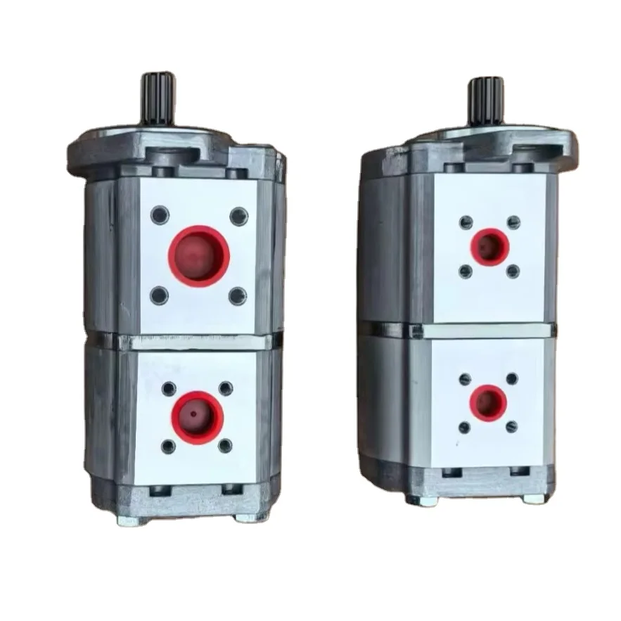 Paving machine construction machinery parts 2183429 dual gear pump