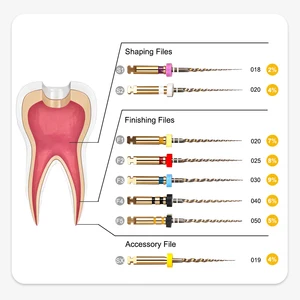 6 pcs/box Flexible Dental Gold Files Endo Rotary Files Gold Endodontic Files 21/25/31mm Nickel Titainium Dental Instrument 10 Main Sales Rotary Lima - №1