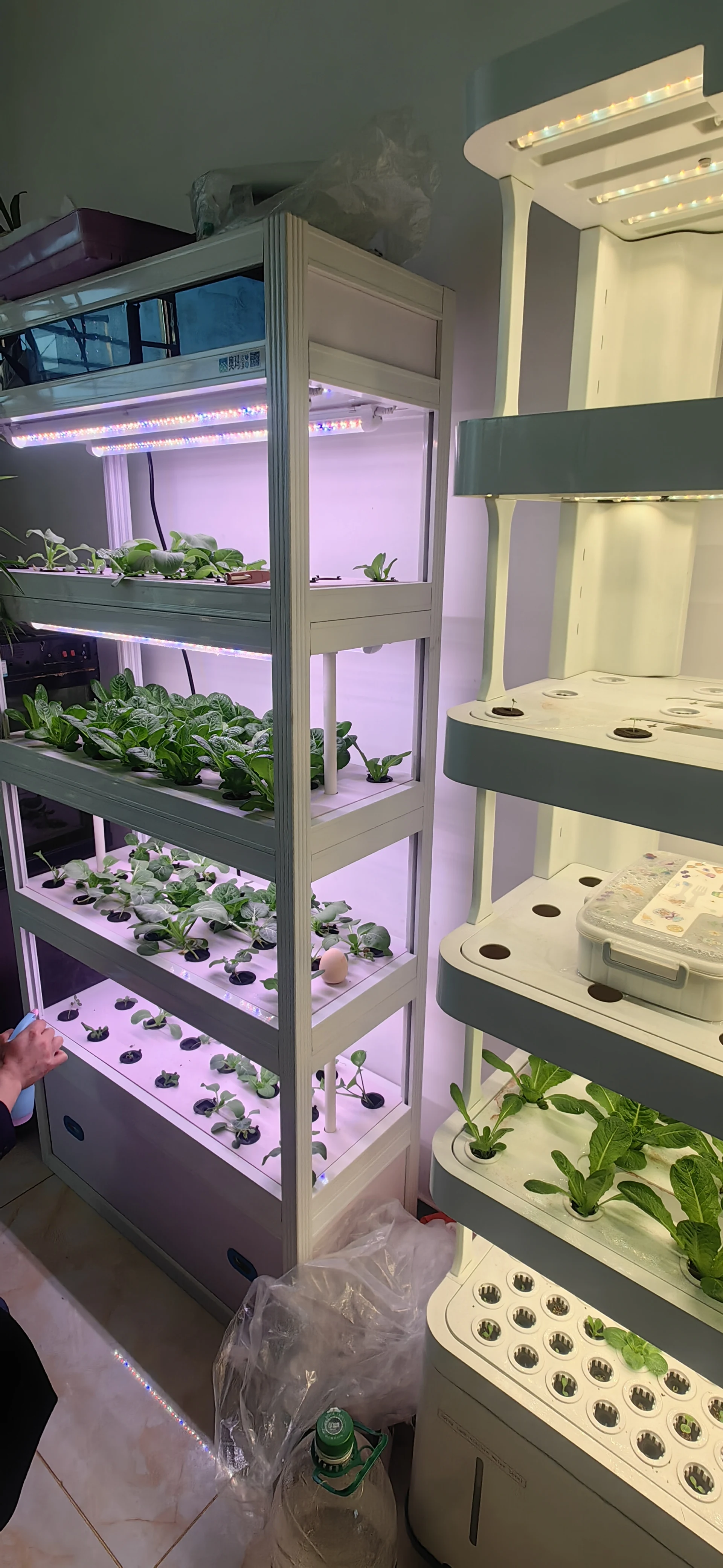 رف شرفة بدون تربة، ضوء مضخة أوتوماتيكي، ذكي عمودي داخلي صغير، آلة زراعة الخضروات المائية، متعدد الطبقات #6