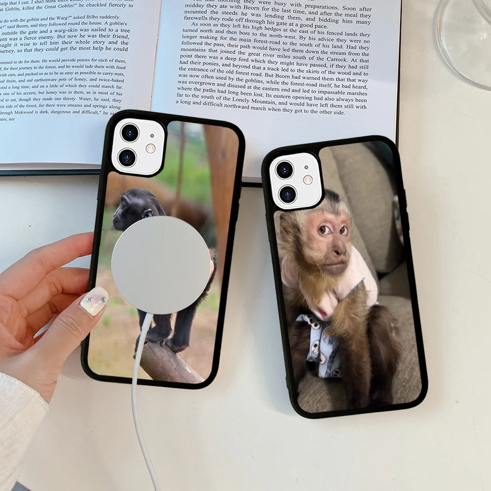 Monkey Sipping Caprisun Meme Phone Case Magesafe Magnetic Wireless Charge Case For iPhone 16 11 12 13 14 15 Pro Max Plus Mini