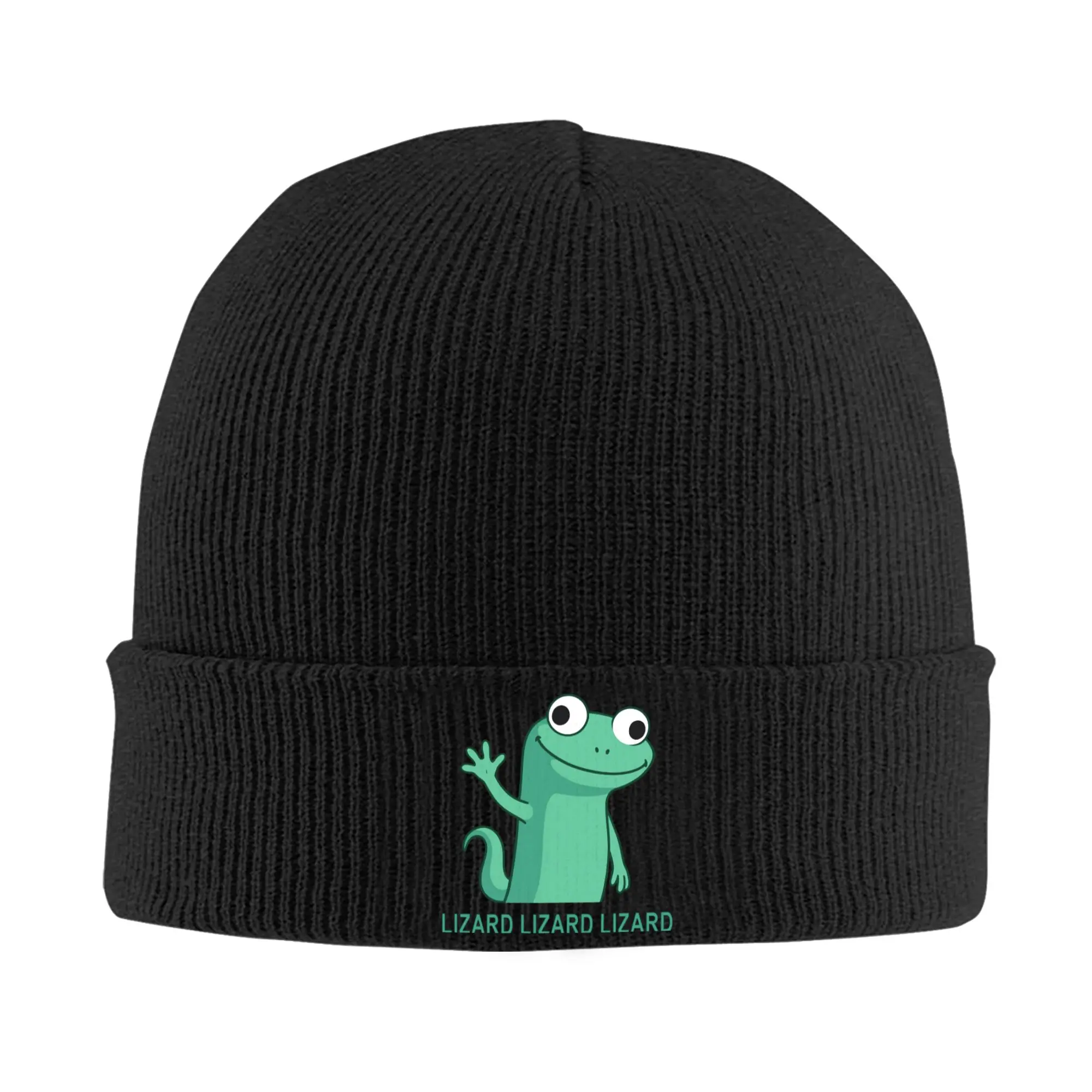 Lizard Weirdcore Animal Knitted Hat for Women Men Beanies Winter Hat Acrylic  Casual Melon Cap ,