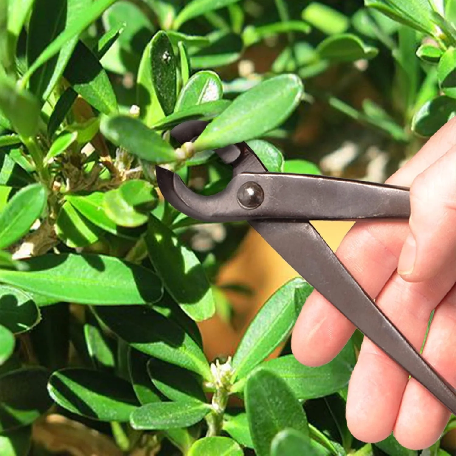 Imagem -05 - Bonsai Branch Cutter Scissors Joint Shear Tree Clippers Parts Garden Shears Bonsai Tool For Garden Knob Cutter Tool