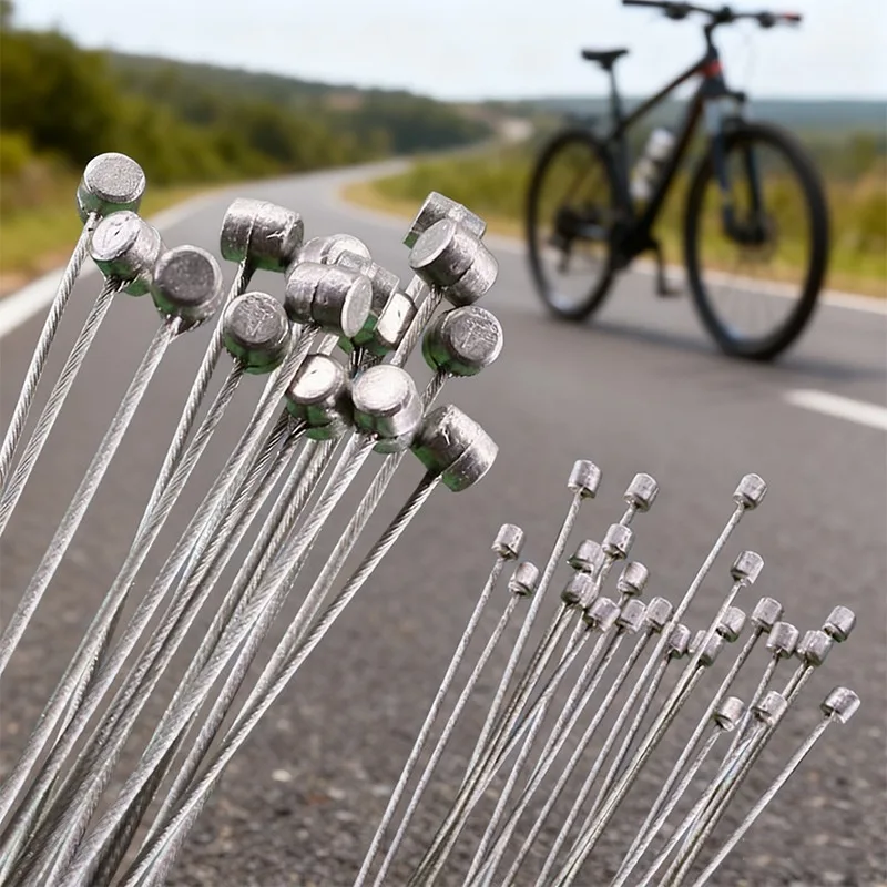 yZ[z2/5 bLXeX|]ԃCi[VtgP[uu[LVt^[P[u MTB/[hoCNp 2000 ~[gfBC[P[uZbg