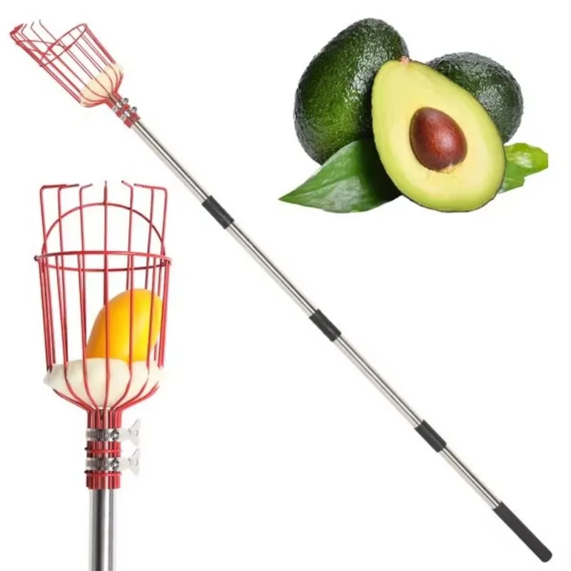 Stainless steel adjustable fruit picker tool for picking citrus, oranges, mangoes