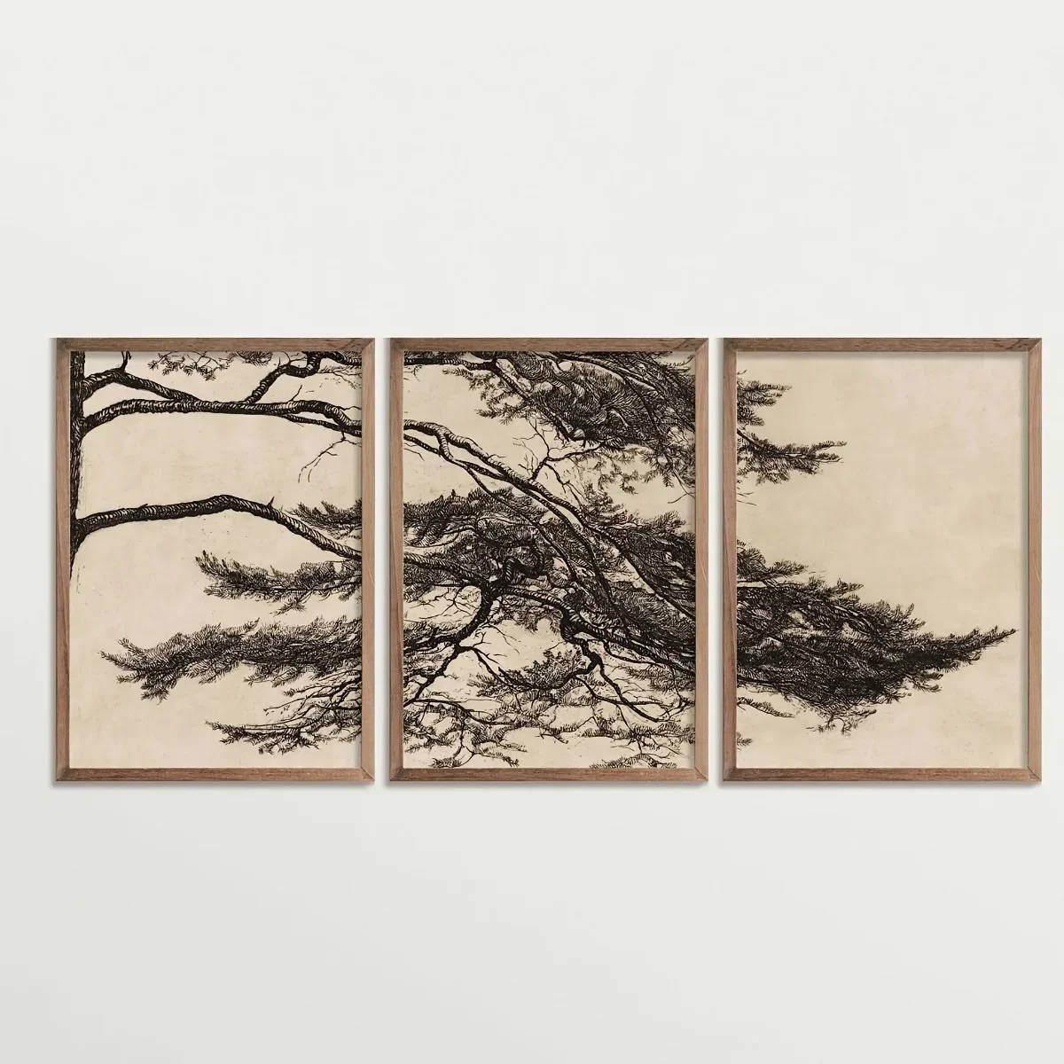 Large-sized 3pcs/set Vintage Pine Tree Branch Canvas Prints Poster Retro Botanical Aesthetics Art Prints Living Room Bedroom Hom