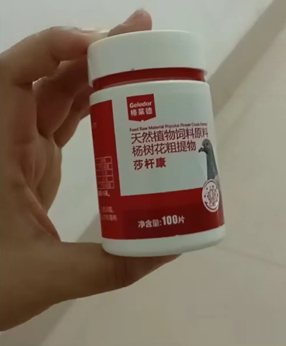 Salmonella Treatment for Diarrhea Relief