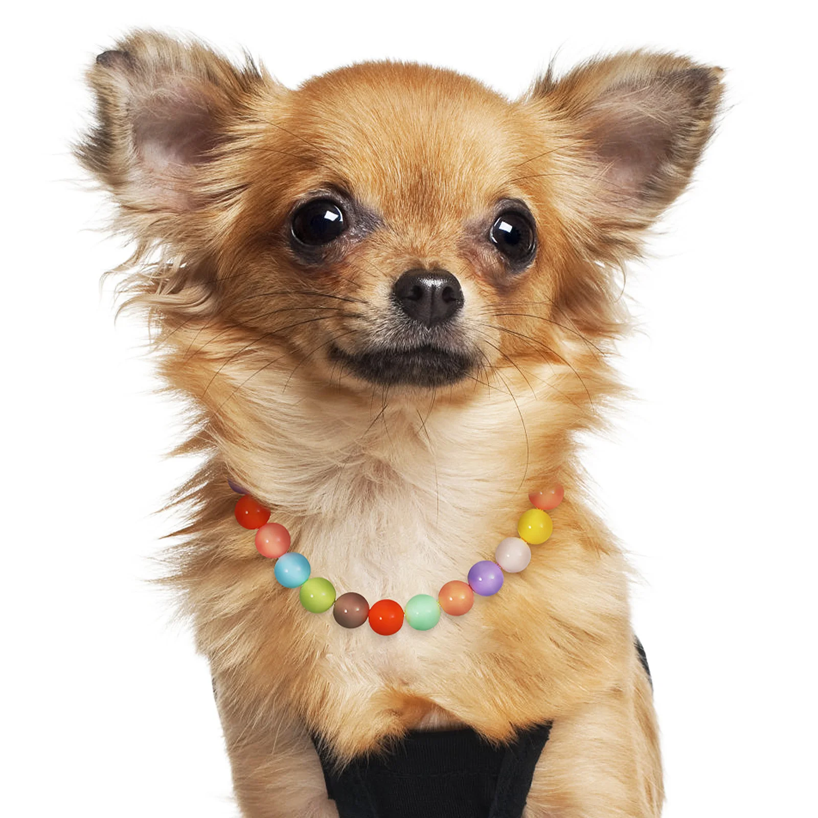 

Candy Color Dog Necklace Collar Pet Jewelry Adjustable Cute Puppy Collar for Wedding Party Accessories Girl Cat Accessories