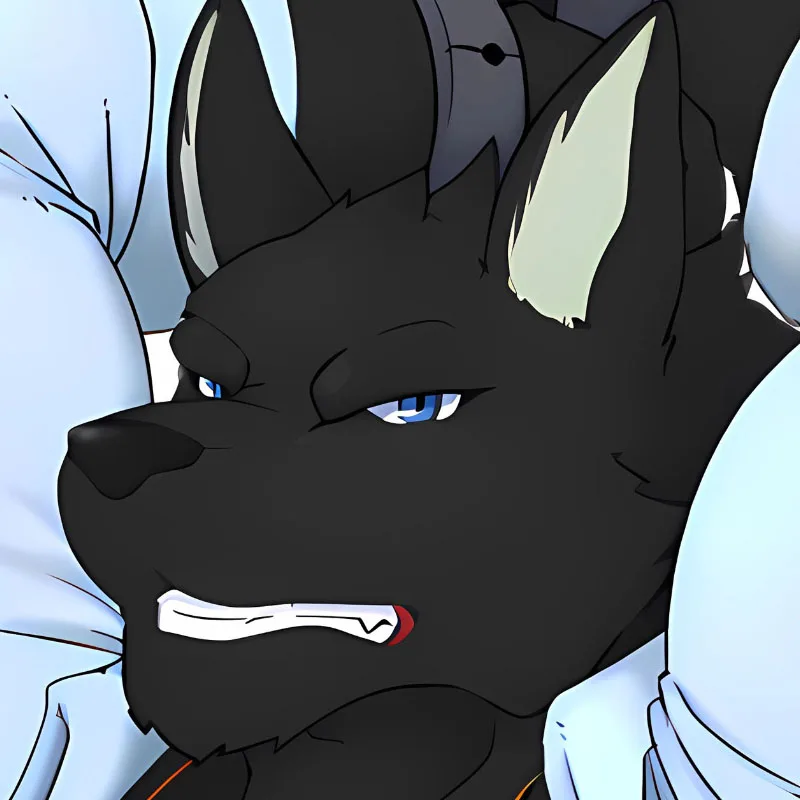 

Наволочка для подушки-дакимакуры с аниме-принтом Blackwolf, двусторонняя печать, в натуральную величину, для обнимания, дропшиппинг