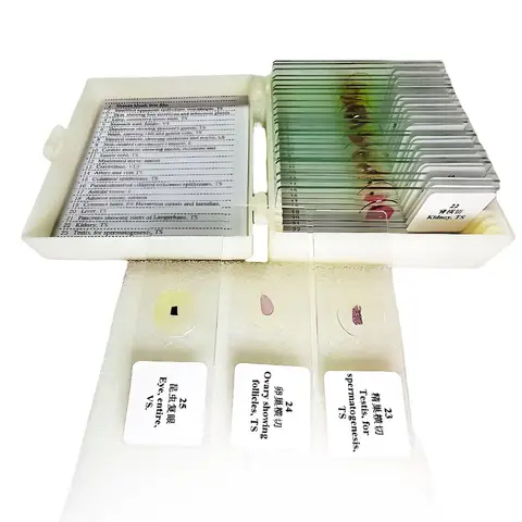 기본 조직학 조직 현미경, 준비된 슬라이드, 25 개