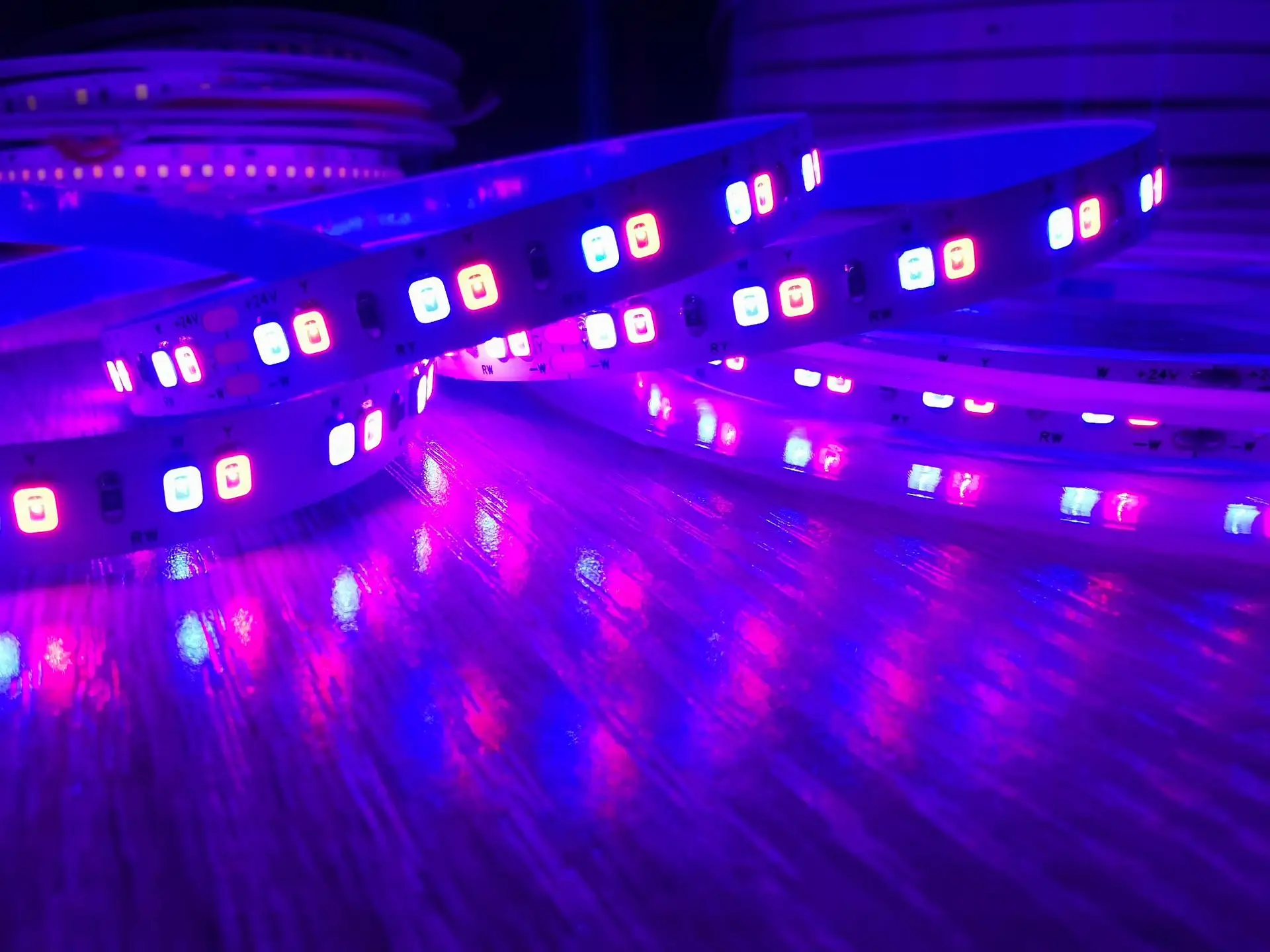 5M 24V dual color blue + white /red + white/Red+blue CCT LED strip low voltage 168LEDS / M