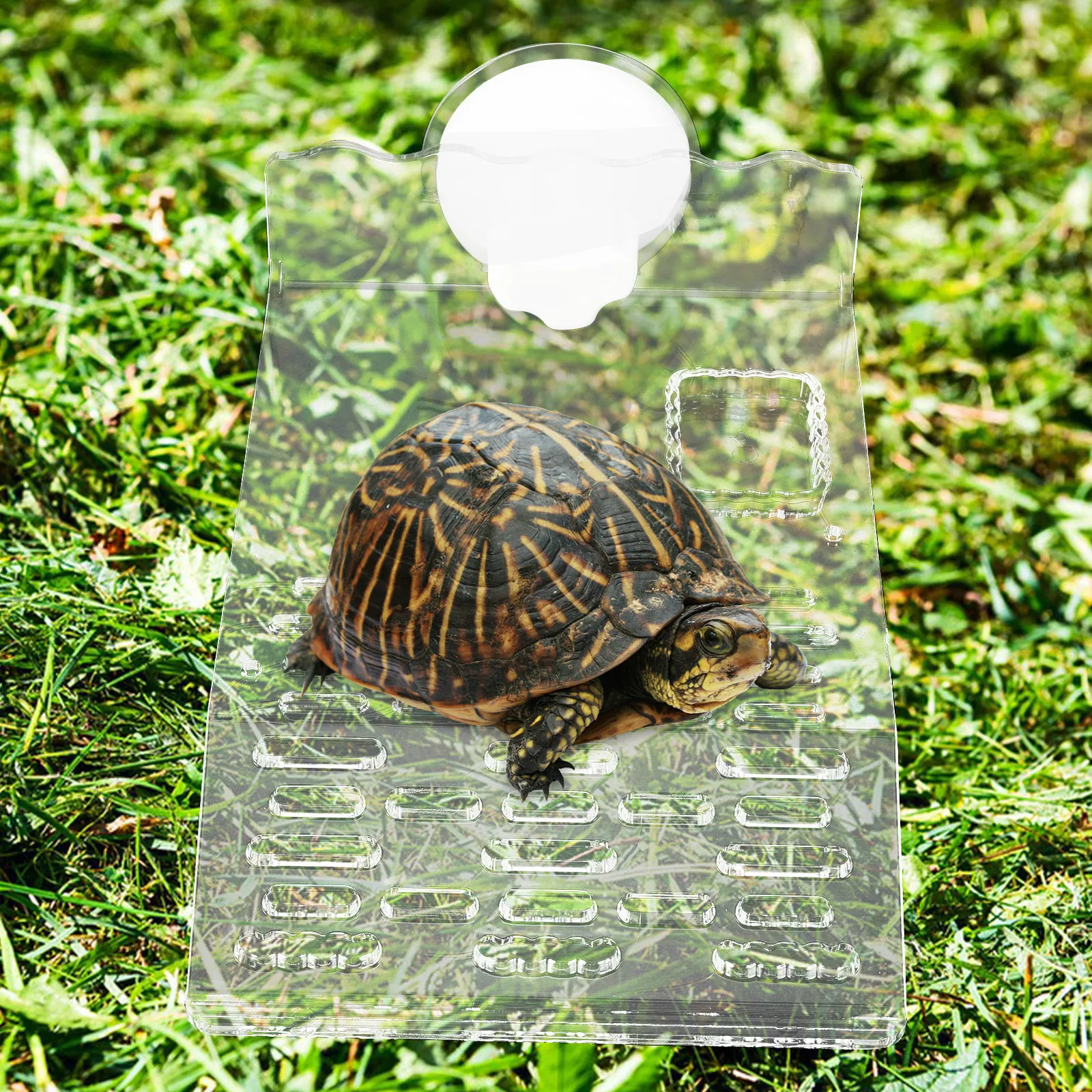 

Plastic Turtle Basking Platform Suction Cup Fixation Comfortable Resting Spot Tank Decor Aquatic Pet Accessories