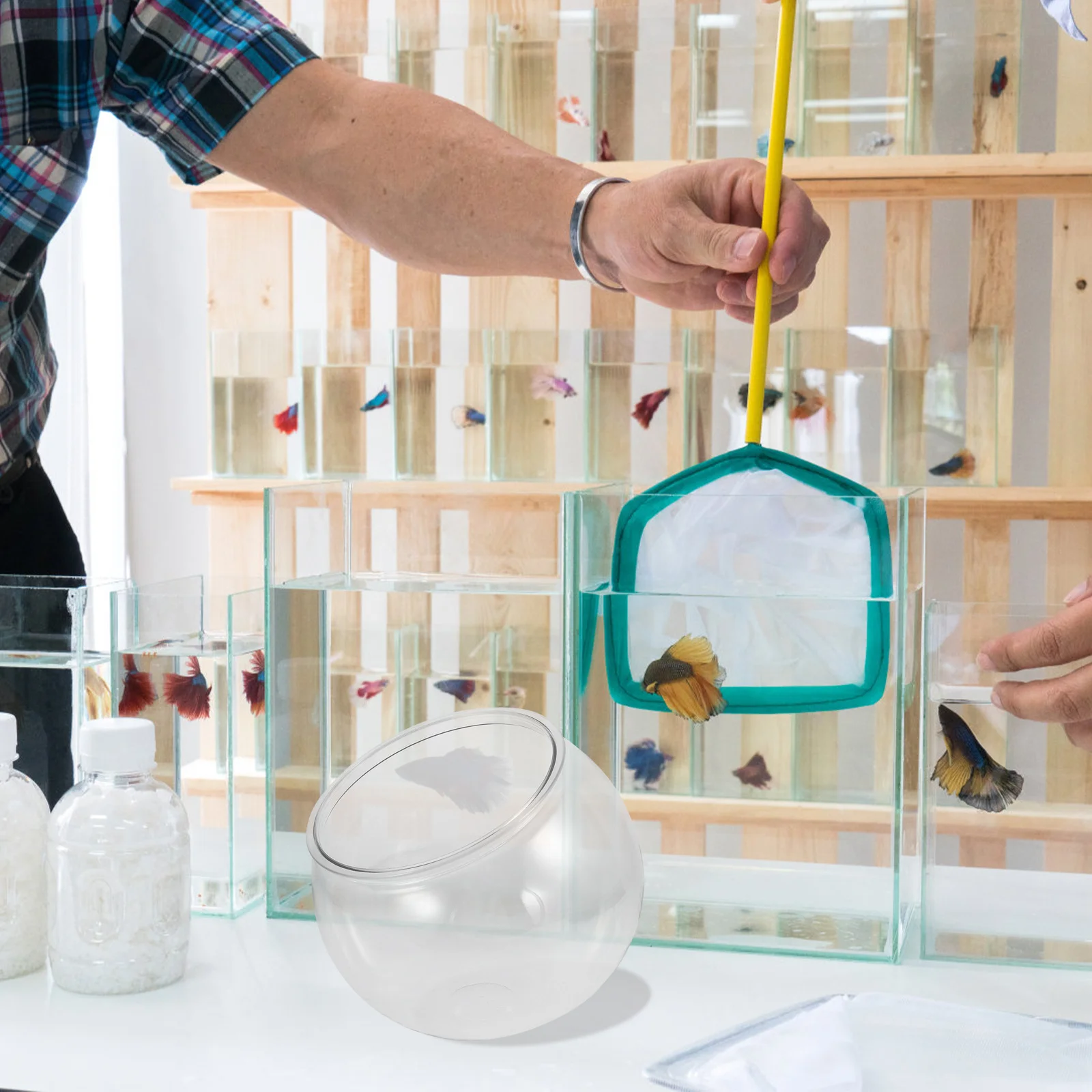 

Clear Plastic Round Fish Bowl Aquarium for Goldfish Betta Desktop Home Office Decor Small Bubble Tank Unique Aquatic Planter