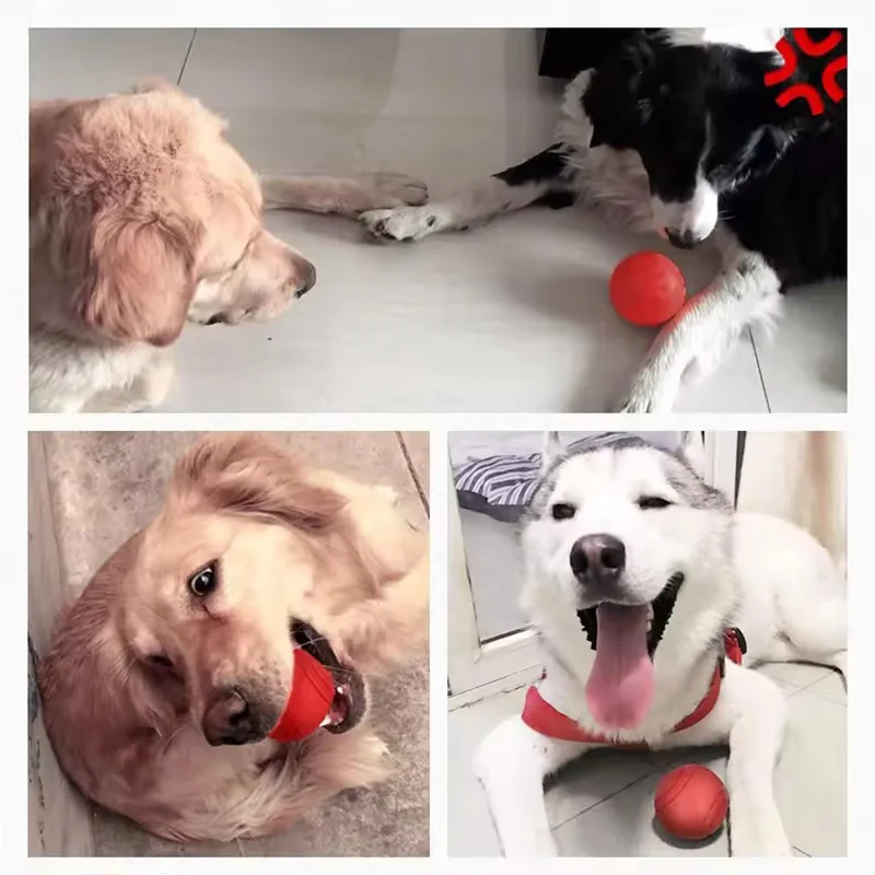 Thumbnail 3 - #12 Trending Dog Fetch Toys Right Now