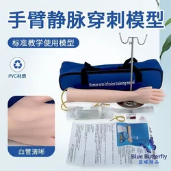 Venous puncture arm model infusion training mold simulation arm injection training medical model