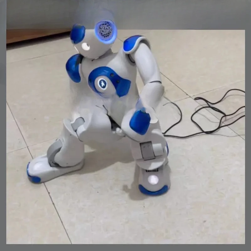 FOR Aldebaran Robotics Nao Humanoid Robot V5 Version