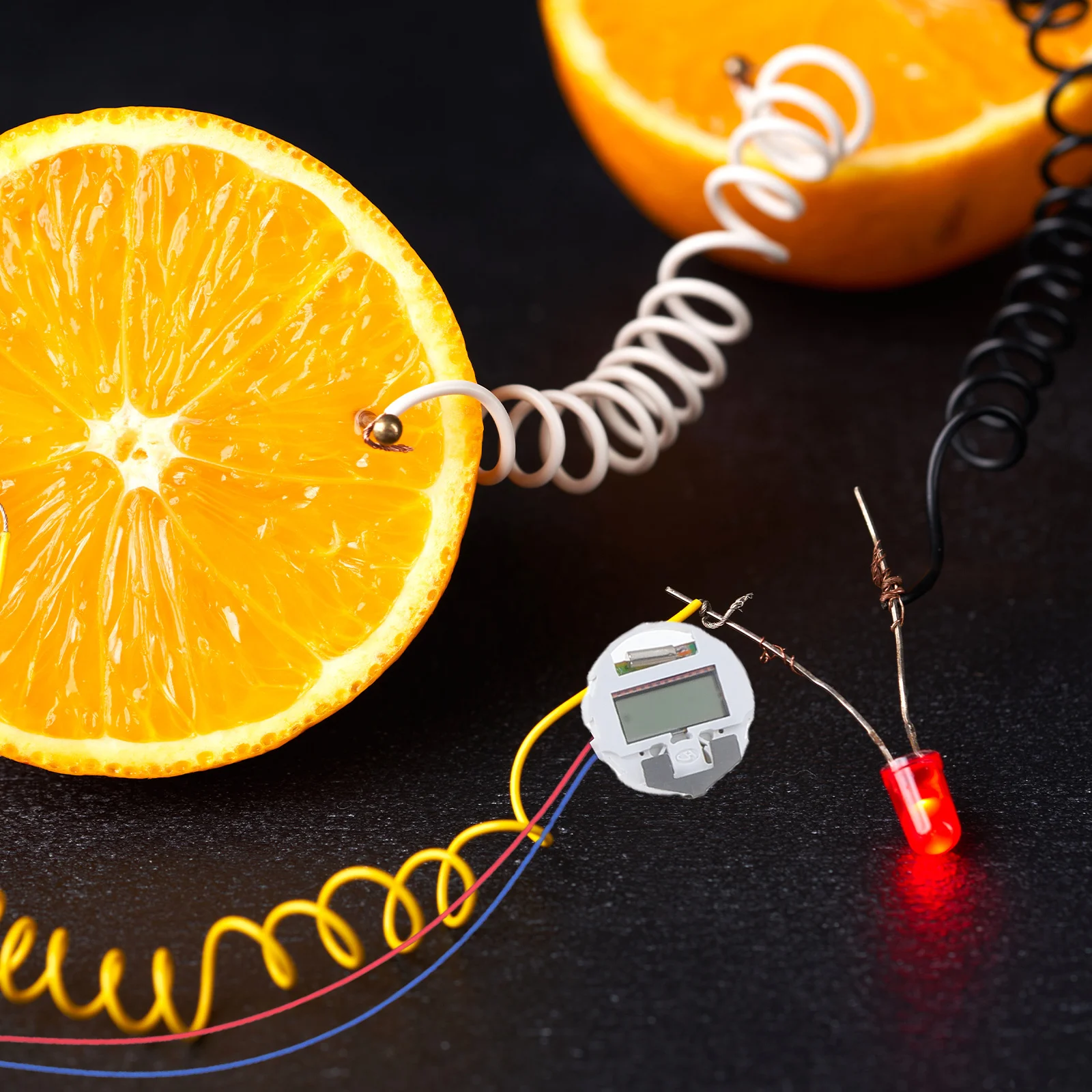 1 مجموعة الفاكهة البرتقال الليمون البطاطس الفيزياء تجربة العلوم التدريس مشروع تعليمي مجموعة الساعة الإلكترونية