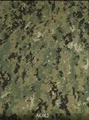 AOR2