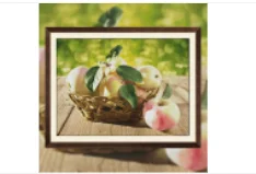 

Набор для вышивания крестиком «Корзина с яблоками», 16CT, без рисунка, высочайшее качество, для рукоделия, декора дома