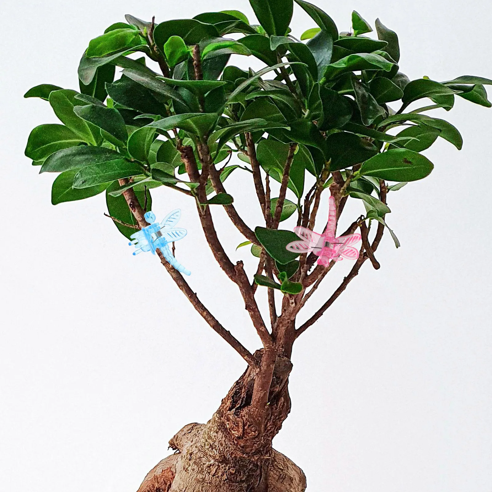 

30Pcs Orchid Clips for Plants Stakes Unique Design Easy Installation Stylish Appearance Indoor Potted Plant Support