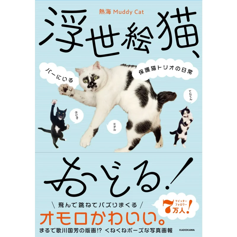 

Cat Cat Daily Life Of A Trio Of Protective Cats In A Bar Muddy Cat Kadokawa Bookstore 9784046058256 Book